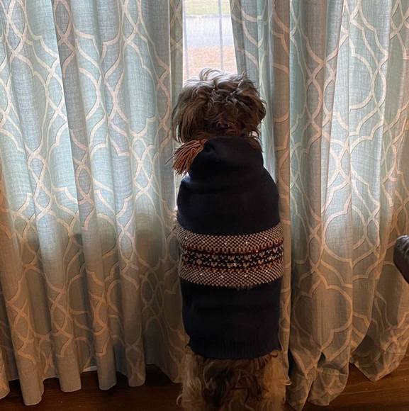 Meet your Posher, Amy - Picture 1 of 1